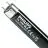 Philips MASTER TL-D 18W - Blacklight Blu | 60cm